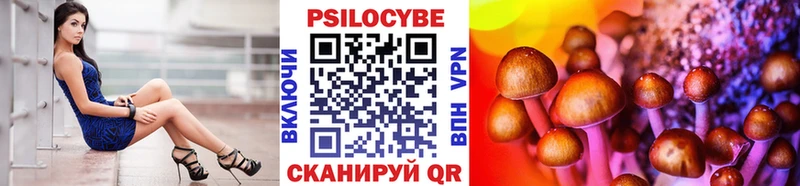 гидра зеркало  Ленинск  Галлюциногенные грибы Psilocybine cubensis 